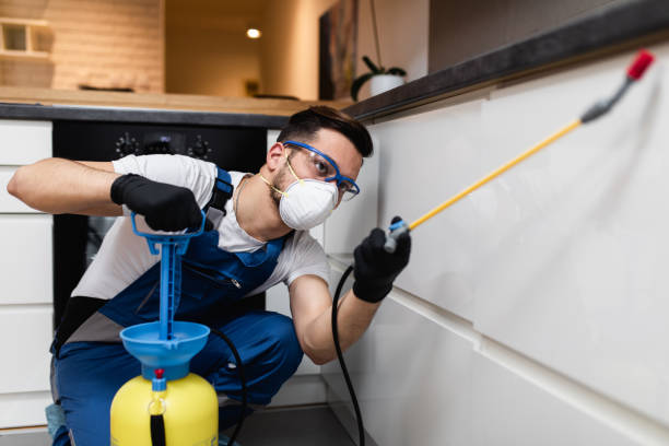 Best Best Pest Control Companies  in Bunk Foss, WA