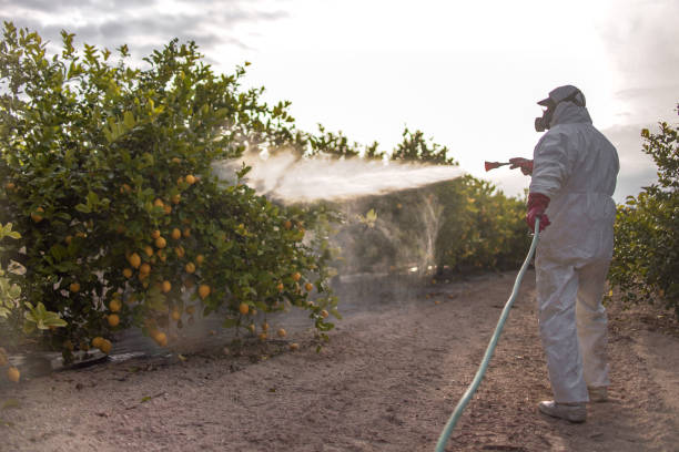Pest Prevention Services in Bunk Foss, WA