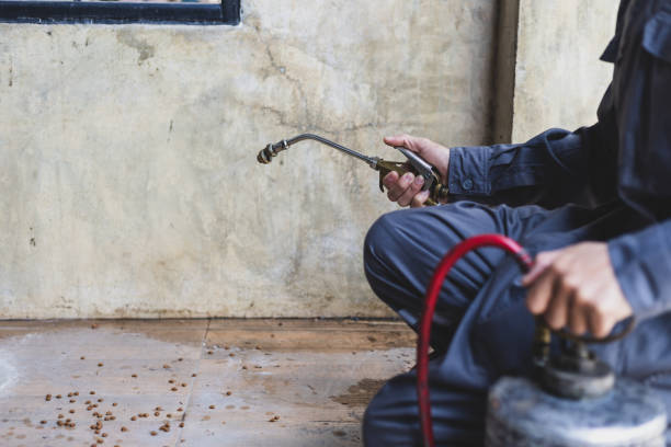 Best Affordable Pest Control Services  in Bunk Foss, WA
