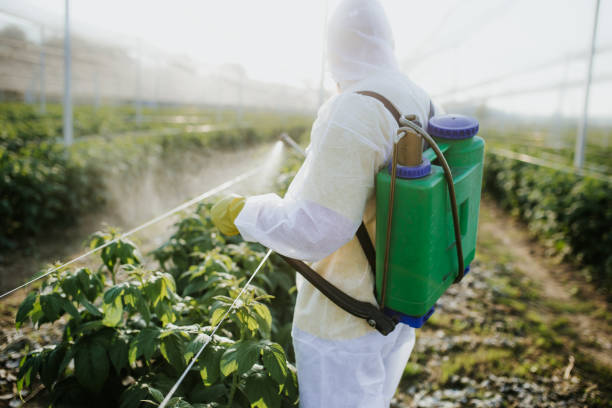 Best Pest Removal Services  in Bunk Foss, WA